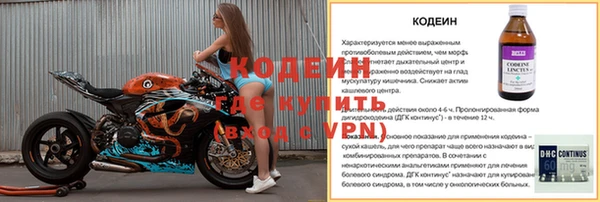 герыч Алексин