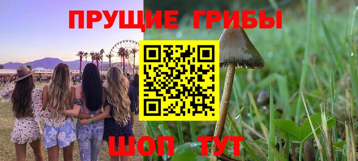 Анапа  Галлюциногенные грибы Psilocybe  хочу   Вход с VPN 